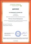 Диплом за преданность профессии Диплом за преданность профессии